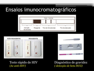 Ensaios imunocromatográficos
Teste rápido de HIV
(Ac anti-HIV)
Diagnóstico de gravidez
( detecção de beta HCG)
 
