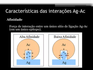 Características das interações Ag-Ac
Afinidade
Força de interação entre um único sítio de ligação Ag-Ac
(em um único epítopo).
 