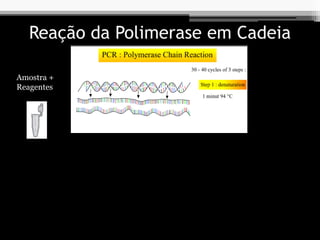 Reação da Polimerase em Cadeia
Amostra +
Reagentes
 