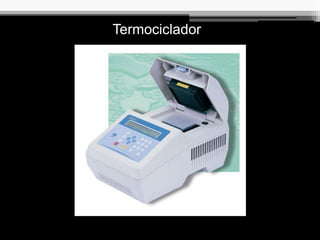 Termociclador
 
