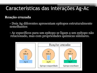 Características das interações Ag-Ac
Reação cruzada
- Dois Ag diferentes apresentam epítopos estruturalmente
semelhantes
- Ac específicos para um epítopo se ligam a um epítopo não
relacionado, mas com propriedades químicas similares.
 