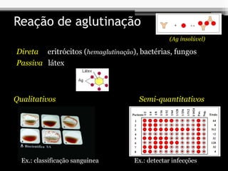 Reação de aglutinação
Direta eritrócitos (hemaglutinação), bactérias, fungos
Passiva látex
(Ag insolúvel)
Qualitativos Semi-quantitativos
Ex.: classificação sanguinea Ex.: detectar infecções
 