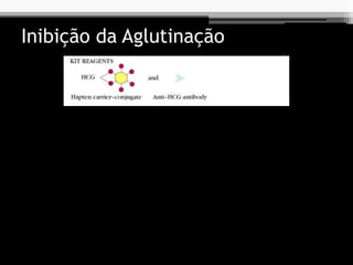 Inibição da Aglutinação
 