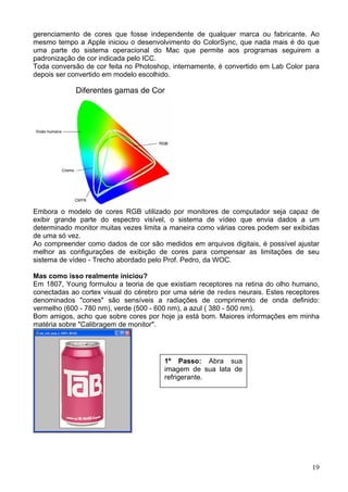 gerenciamento de cores que fosse independente de qualquer marca ou fabricante. Ao
mesmo tempo a Apple iniciou o desenvolvimento do ColorSync, que nada mais é do que
uma parte do sistema operacional do Mac que permite aos programas seguirem a
padronização de cor indicada pelo ICC.
Toda conversão de cor feita no Photoshop, internamente, é convertido em Lab Color para
depois ser convertido em modelo escolhido.




Embora o modelo de cores RGB utilizado por monitores de computador seja capaz de
exibir grande parte do espectro visível, o sistema de vídeo que envia dados a um
determinado monitor muitas vezes limita a maneira como várias cores podem ser exibidas
de uma só vez.
Ao compreender como dados de cor são medidos em arquivos digitais, é possível ajustar
melhor as configurações de exibição de cores para compensar as limitações de seu
sistema de vídeo - Trecho abordado pelo Prof. Pedro, da WOC.

Mas como isso realmente iniciou?
Em 1807, Young formulou a teoria de que existiam receptores na retina do olho humano,
conectadas ao cortex visual do cérebro por uma série de redes neurais. Estes receptores
denominados "cones" são sensíveis a radiações de comprimento de onda definido:
vermelho (600 - 780 nm), verde (500 - 600 nm), a azul ( 380 - 500 nm).
Bom amigos, acho que sobre cores por hoje ja está bom. Maiores informações em minha
matéria sobre "Calibragem de monitor".




                                       1º Passo: Abra sua
                                       imagem de sua lata de
                                       refrigerante.




                                                                                    19
 
