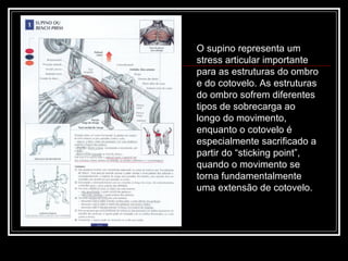 O supino representa um stress articular importante para as estruturas do ombro e do cotovelo. As estruturas do ombro sofrem diferentes tipos de sobrecarga ao longo do movimento, enquanto o cotovelo é especialmente sacrificado a partir do “sticking point”, quando o movimento se torna fundamentalmente uma extensão de cotovelo.  