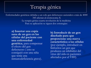 Terapia génica a)   Insertar una copia sana de un gen en las células del paciente con una enfermedad genética , para compensar el efecto del gen defectuoso ( esto se consiguió con una niña que tenía una inmunodeficiencia grave).  b) Introducir de un gen diseñado para que proporcione una nueva característica a las células  (por ejemplo, introducir en linfocitos un gen que produzca un inhibidor del virus del sida en pacientes afectados por el VIH). Enfermedades genéticas debidas a un solo gen defectuoso ascienden a más de 4000  345 afectan al cromosoma X La terapia génica cuarta revolución de la medicina  Para su aplicación se siguen dos estrategias:  