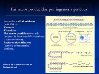Fármacos producidos por ingeniería genética   Síntesis de la somatostatina en  Escherichia coli Sustancias  antimicrobianas  (antibióticos) Vacunas Vitaminas Hormonas peptídicas  (como la  insulina , la  hormona del crecimiento  o  somatotropina ) Factores hipotalámicos   (como la somatostatina) Enzimas.   