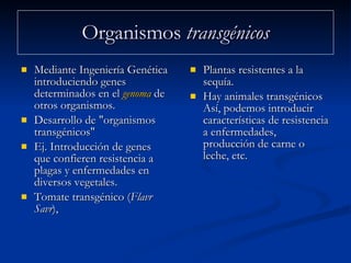 Organismos  transgénicos Mediante Ingeniería Genética introduciendo genes determinados en el  genoma  de otros organismos. Desarrollo de "organismos transgénicos" Ej. Introducción de genes que confieren resistencia a plagas y enfermedades en diversos vegetales.  Tomate transgénico ( Flavr Savr ),  Plantas resistentes a la sequía. Hay animales transgénicos Así, podemos introducir características de resistencia a enfermedades, producción de carne o leche, etc.  