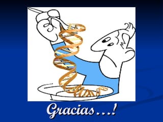 Gracias…! 