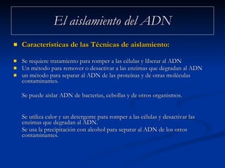 El aislamiento del ADN Características de las Técnicas de aislamiento: Se requiere tratamiento para romper a las células y liberar al ADN Un método para remover o desactivar a las enzimas que degradan al ADN un método para separar al ADN de las proteínas y de otras moléculas contaminantes.  Se puede aislar ADN de bacterias, cebollas y de otros organismos.  Se utiliza calor y un detergente para romper a las células y desactivar las enzimas que degradan al ADN.  Se usa la precipitación con alcohol para separar al ADN de los otros contaminantes.  