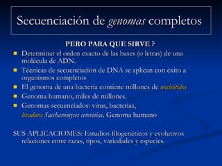 Secuenciación de  genomas  completos  PERO PARA QUE SIRVE ?  Determinar el orden exacto de las bases (o letras) de una molécula de ADN.   Técnicas de secuenciación de DNA se aplican con éxito a organismos completos El genoma de una bacteria contiene millones de  nucleótidos Genoma humano, miles de millones.  Genomas secuenciados: virus, bacterias,  levadura   Saccharomyces cerevisiae,  Genoma humano SUS APLICACIOMES: Estudios filogenéticos y evolutivos relaciones entre razas, tipos, variedades y especies.  