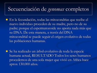 Secuenciación de  genomas  completos En la fecundación, todas las mitocondrias que recibe el nuevo individuo proceden de su madre, pero no de su padre; porque el espermatozoide no aporta nada más que su DNA. De esta manera, a través del DNA mitocondrial se puede seguir el origen evolutivo de todas las poblaciones humanas. Se ha realizado un árbol evolutivo de toda la especie humana actual, RESULTADO Todos los seres humanos procedemos de una sola mujer que vivió en Africa hace aprox 130.000 años.  