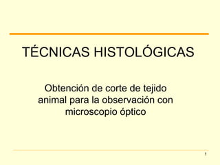 1 
TÉCNICAS HISTOLÓGICAS 
Obtención de corte de tejido 
animal para la observación con 
microscopio óptico 
 