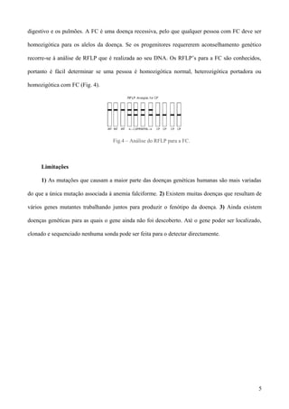 digestivo e os pulmões. A FC é uma doença recessiva, pelo que qualquer pessoa com FC deve ser

homozigótica para os alelos da doença. Se os progenitores requererem aconselhamento genético

recorre-se à análise de RFLP que é realizada ao seu DNA. Os RFLP’s para a FC são conhecidos,

portanto é fácil determinar se uma pessoa é homozigótica normal, heterozigótica portadora ou

homozigótica com FC (Fig. 4).




                                   Fig.4 – Análise do RFLP para a FC.



     Limitações

     1) As mutações que causam a maior parte das doenças genéticas humanas são mais variadas

do que a única mutação associada à anemia falciforme. 2) Existem muitas doenças que resultam de

vários genes mutantes trabalhando juntos para produzir o fenótipo da doença. 3) Ainda existem

doenças genéticas para as quais o gene ainda não foi descoberto. Até o gene poder ser localizado,

clonado e sequenciado nenhuma sonda pode ser feita para o detectar directamente.




                                                                                               5
 