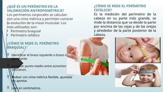 t-cnicas-adecuadas-de-toma-de-peso-talla-y-per-metro-braquial-pptx