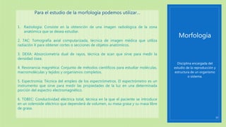 Morfología 
Disciplina encargada del 
estudio de la reproducción y 
estructura de un organismo 
o sistema. 
10 
Para el estudio de la morfología podemos utilizar… 
1. Radiología: Consiste en la obtención de una imagen radiológica de la zona 
anatómica que se desea estudiar. 
2. TAC: Tomografía axial computarizada, técnica de imagen médica que utiliza 
radiación X para obtener cortes o secciones de objetos anatómicos. 
3. DEXA: Absorciometría dual de rayos, técnica de scan que sirve para medir la 
densidad ósea. 
4. Resonancia magnética: Conjunto de métodos científicos para estudiar moléculas, 
macromoléculas y tejidos y organismos completos. 
5. Espectromía: Técnica del empleo de los espectrómetros. El espectrómetro es un 
instrumento que sirve para medir las propiedades de la luz en una determinada 
porción del espectro electromagnético. 
6. TOBEC: Conductividad eléctrica total, técnica en la que el paciente se introduce 
en un solenoide eléctrico que dependerá de volumen, su masa grasa y su masa libre 
de grasa. 
 