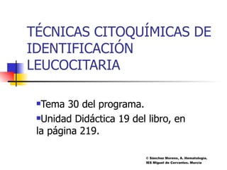 TÉCNICAS CITOQUÍMICAS DE IDENTIFICACIÓN LEUCOCITARIA ,[object Object],[object Object],© Sánchez Moreno, A. Hematología.  IES Miguel de Cervantes. Murcia 