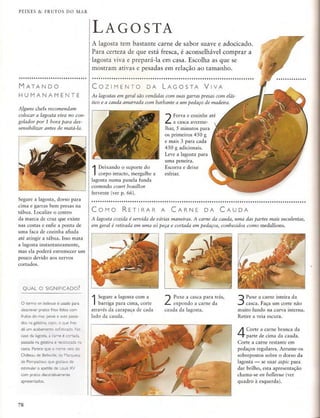 Técnicas culinárias-  Le Cordon Bleu