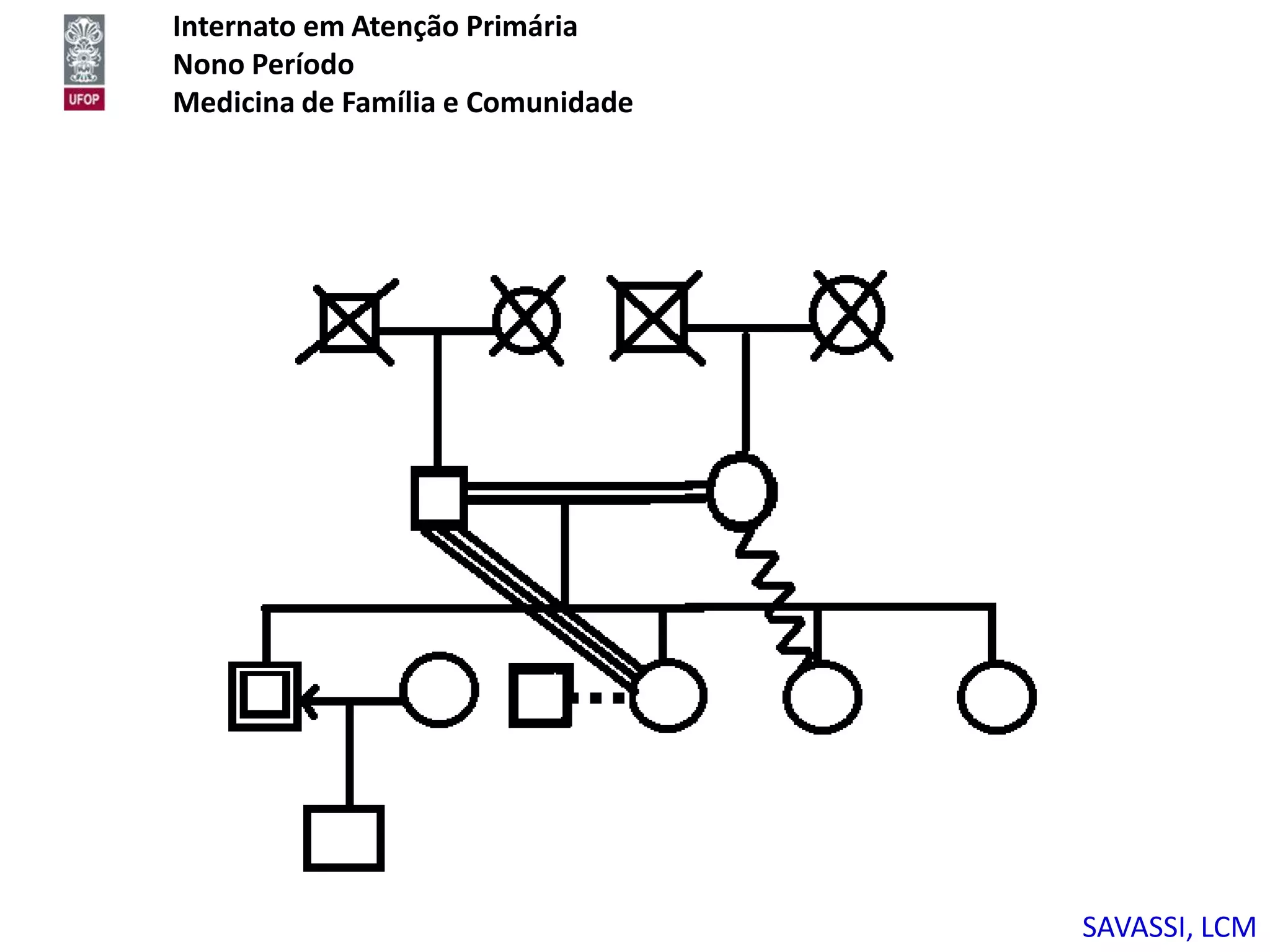 Internato em Atenção Primária
Nono Período
Medicina de Família e Comunidade




                                   SAVASSI, LCM
 