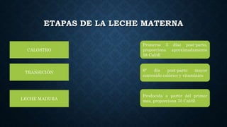 ETAPAS DE LA LECHE MATERNA
CALOSTRO
Primeros 5 días post-parto,
proporciona aproximadamente
58 Cal/dl
TRANSICIÓN 6° día post-parto mayor
contenido calórico y vitamínico
LECHE MADURA
Producida a partir del primer
mes, proporciona 70 Cal/dl
 