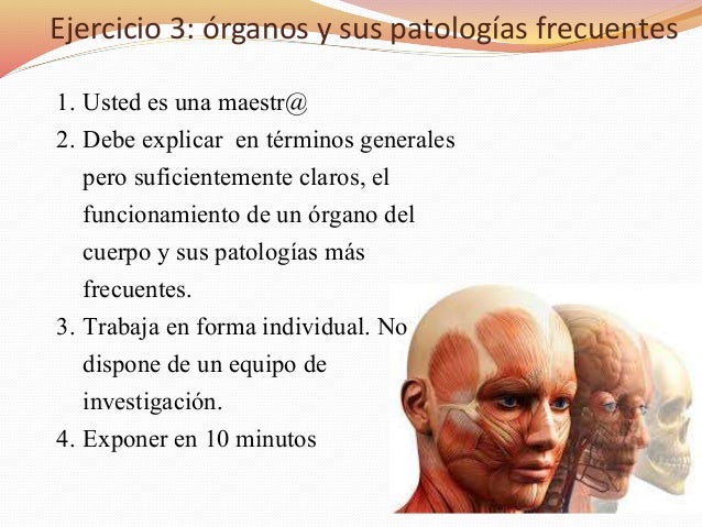 temas para exponer en 5 minutos temas para exponer en 5 minutos
