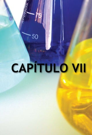 Capítulo VII
 