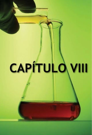 Capítulo VIII
 