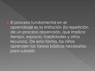 El proceso fundamental en el aprendizaje es la imitación (la repetición de un proceso observado, que implica tiempo, espacio, habilidades y otros recursos). De esta forma, los niños aprenden las tareas básicas necesarias para subsistir.