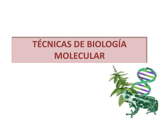 TÉCNICAS DE BIOLOGÍA
MOLECULAR
 