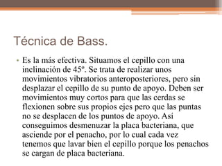 Técnica de Bass.
• Es la más efectiva. Situamos el cepillo con una
inclinación de 45º. Se trata de realizar unos
movimientos vibratorios anteroposteriores, pero sin
desplazar el cepillo de su punto de apoyo. Deben ser
movimientos muy cortos para que las cerdas se
flexionen sobre sus propios ejes pero que las puntas
no se desplacen de los puntos de apoyo. Así
conseguimos desmenuzar la placa bacteriana, que
asciende por el penacho, por lo cual cada vez
tenemos que lavar bien el cepillo porque los penachos
se cargan de placa bacteriana.
 