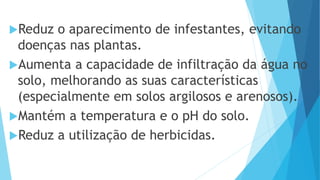 Reduz o aparecimento de infestantes, evitando
doenças nas plantas.
Aumenta a capacidade de infiltração da água no
solo, melhorando as suas características
(especialmente em solos argilosos e arenosos).
Mantém a temperatura e o pH do solo.
Reduz a utilização de herbicidas.
 