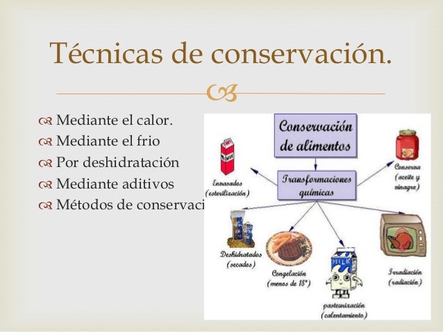 Técnicas De Conservación