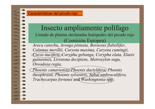 Características del picudo rojo



        Insecto ampliamente polífago
    Listado de plantas declaradas huéspedes del pi...