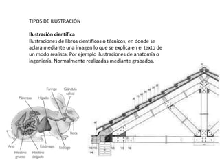 TIPOS DE ILUSTRACIÓN
Ilustración científica
Ilustraciones de libros científicos o técnicos, en donde se
aclara mediante una imagen lo que se explica en el texto de
un modo realista. Por ejemplo ilustraciones de anatomía o
ingeniería. Normalmente realizadas mediante grabados.
 