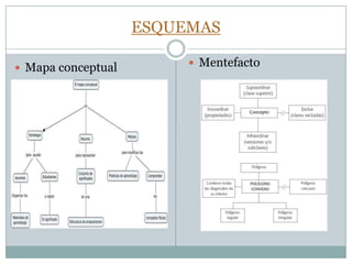 ESQUEMASMentefactoMapa conceptual