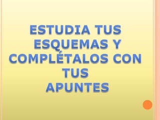 Técnicas de estudio