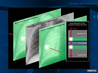 Técnicas de Exames

5

 