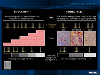 Técnicas de Exames

6

 