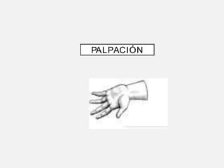 PALPACIÓN
 