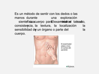 Es un método de sentir con los dedos o las
manos durante una exploración
física. El médico toca
y
consistencia, la textura, la localización
y
siente su cuerpo para examinar el tamaño,
la
la
sensibilidad de un órgano o parte del
cuerpo.
 