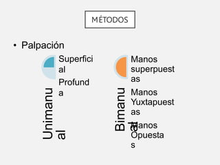 MÉTODOS
• Palpación
Superfici
al
Unimanu
al
Profund
a
Bimanu
al
Manos
superpuest
as
Manos
Yuxtapuest
as
Manos
Opuesta
s
 