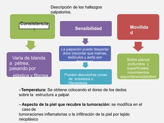 Descripción de los hallazgos
palpatorios.
Consistencia
:
Varía de blanda
a pétrea,
pasando por
elástica y fibrosa
Sensibilidad
La palpación puede despertar
dolor (recordar que mamas,
testículos y aorta son
dolorosos).
Pueden descubrirse zonas
de anestesia o
Hipoestesia
Movilida
d
Sobre planos
profundos y
superficiales,
movimientos
espontáneos(latidos)
–Temperatura: Se obtiene colocando el dorso de los dedos
sobre la estructura a palpar.
– Aspecto de la piel que recubre la tumoración: se modifica en el
caso de
tumoraciones inflamatorias o la infiltración de la piel por tejido
neoplásico
 