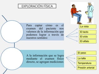 Para captar cómo es el
examen del paciente nos
valemos de la información que
podemos lograr a través de
nuestros sentidos:
A la información que se logra
mediante el examen físico
directo, se agregan mediciones
EXPLORACIÓN FÍSICA
La vista
El tacto
El oído
El olfato
El peso
La talla
Presión arterial
Temperatura
 