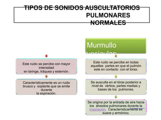 Laringotraquea
l:
Este ruido se percibe con mayor
intensidad
en laringe, tráquea y esternón.
Característicamente es un ruido
brusco y soplante que se emite
durante
la espiración.
Murmullo
vesicular:
Este ruido se percibe en todas
aquellas partes en que el pulmón
este en contacto con el tórax.
Se ausculta en el tórax posterior a
nivel de vértice, partes medias y
bases de los pulmones.
Se origina por la entrada de aire hacia
los alveolos pulmonares durante la
inspiración. Característicamente es
suave y armónico.
TIPOS DE SONIDOS AUSCULTATORIOS
PULMONARES
NORMALES
 