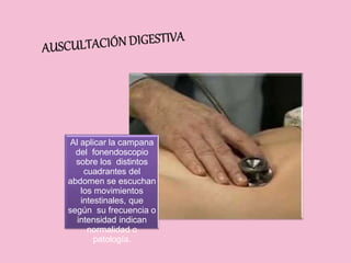 Al aplicar la campana
del fonendoscopio
sobre los distintos
cuadrantes del
abdomen se escuchan
los movimientos
intestinales, que
según su frecuencia o
intensidad indican
normalidad o
patología.
 