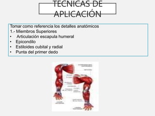 TÉCNICAS DE
APLICACIÓN
Tomar como referencia los detalles anatómicos
1.- Miembros Superiores
• Articulación escapula humeral
• Epicondilo
• Estiloides cubital y radial
• Punta del primer dedo
 