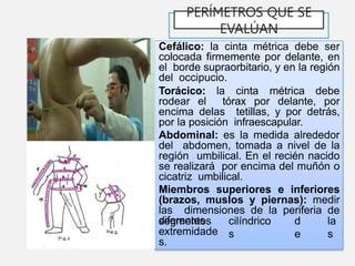 PERÍMETROS QUE SE
EVALÚAN
Cefálico: la cinta métrica debe ser
colocada firmemente por delante, en
el borde supraorbitario, y en la región
del occipucio.
Torácico: la cinta métrica debe
rodear el tórax por delante, por
encima delas tetillas, y por detrás,
por la posición infraescapular.
Abdominal: es la medida alrededor
del abdomen, tomada a nivel de la
región umbilical. En el recién nacido
se realizará por encima del muñón o
cicatriz umbilical.
Miembros superiores e inferiores
(brazos, muslos y piernas): medir
las dimensiones de la periferia de
diferentes cilíndrico
s
d
e
la
s
segmentos
extremidade
s.
 