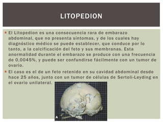  El Litopedion es una consecuencia rara de embarazo
abdominal, que no presenta síntomas, y de los cuales hay
diagnóstico médico se puede establecer, que conduce por lo
tanto, a la calcificación del feto y sus membranas. Esta
anormalidad durante el embarazo se produce con una frecuencia
de 0,0045%, y puede ser confundirse fácilmente con un tumor de
ovario.
 El caso es el de un feto retenido en su cavidad abdominal desde
hace 25 años, junto con un tumor de células de Sertoli-Leyding en
el ovario unilateral.
LITOPEDION
 