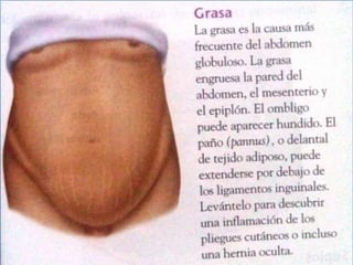 Técnicas de exploración abdominal