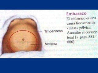 Técnicas de exploración abdominal